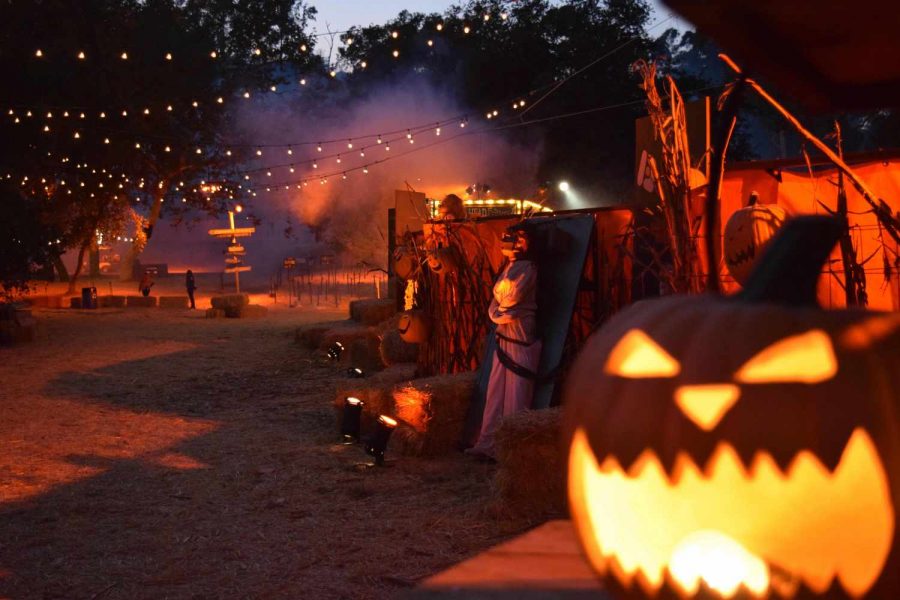 The Los Angeles Haunted Hayride is officially opened for drive in horrors and screams!