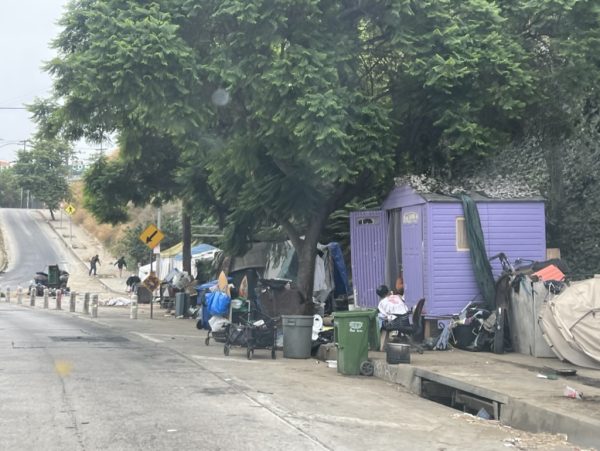 Homeless encampment along Silver Lake Boulevard, next to the Temple Street underpass and off of Virgil Avenue, on August 28, 2024. These individuals have been living here for weeks. 
