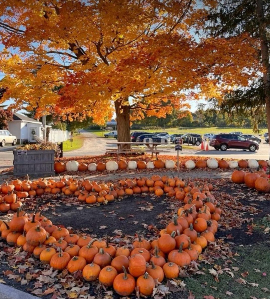 Alisha Covarrubias ‘27 couldn't resist taking a picture of this heart of pumpkins at her local pumpkin patch.